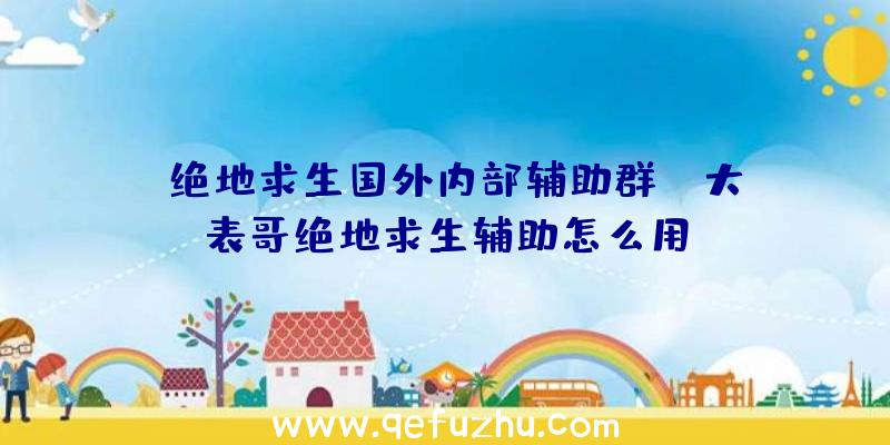 「绝地求生国外内部辅助群」|大表哥绝地求生辅助怎么用